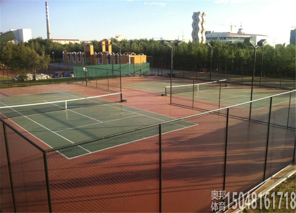二連浩特恐龍公園硅PU面層